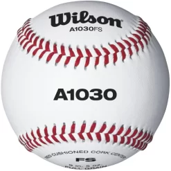 Wilson Champion Series WTA1030BFS Game And Practice Baseball
